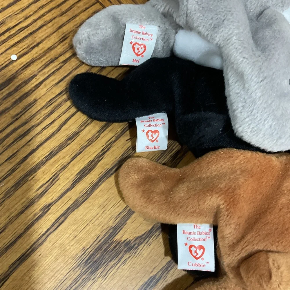 Ty Beanie Babies Plush Bear Trio: Koala Mel, Blackie & Cubbie